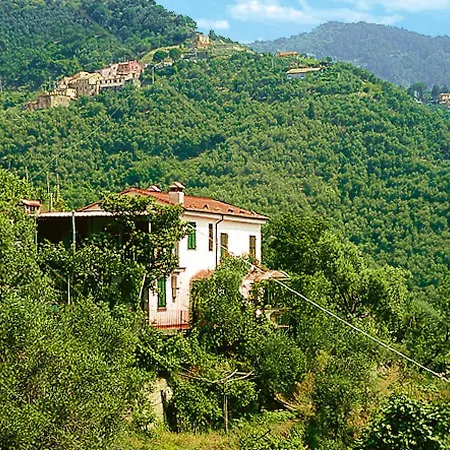 Locazione Turistica Olivo - Lva110